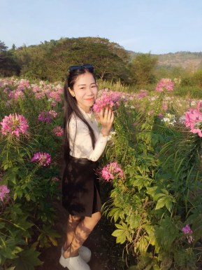 Thai girl for dating